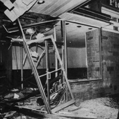 8-88, basilisk, soy sauce, feud world, bonusx2.