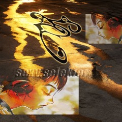 (Er₁₅) sexy.selektor