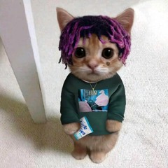 SANE