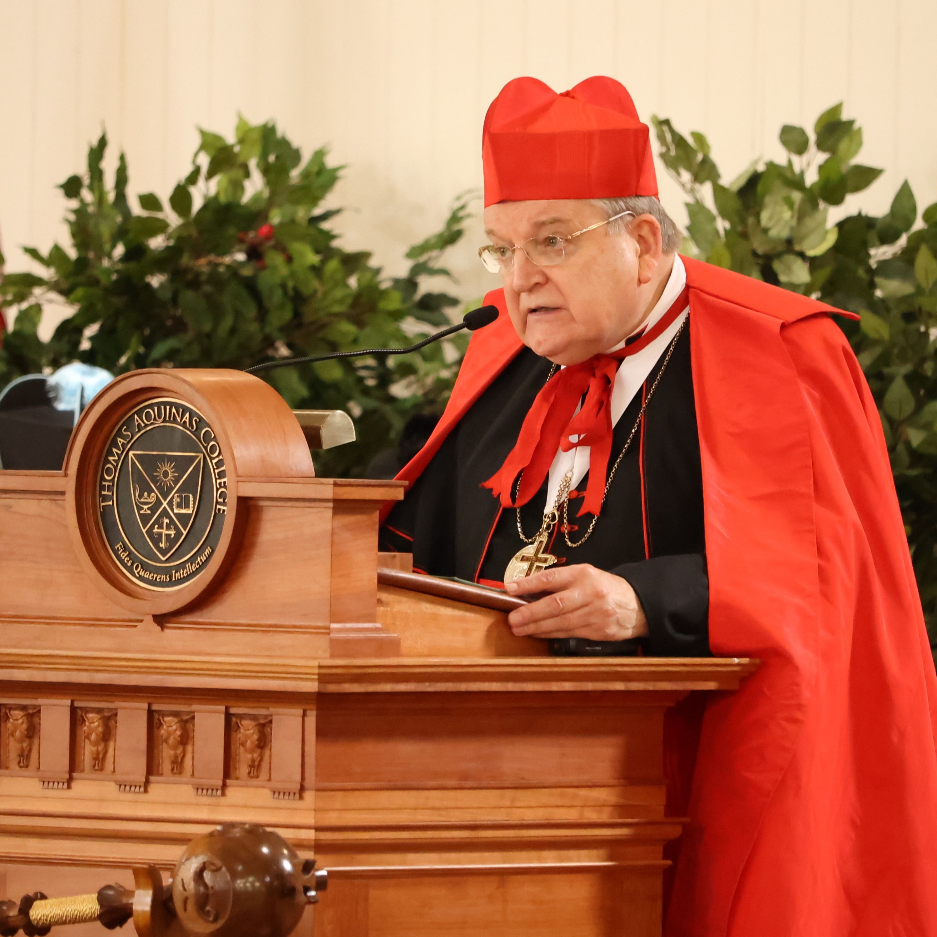 Commencement Address 2024 episode artwork