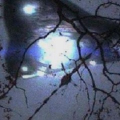 Abductor Vol.1