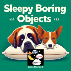 (no music) #32 Doggies SLEEPY Boring Objects  (Jason Newland) (10th January 2023)