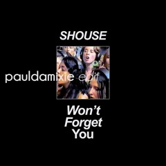SHOUSE - Won`t Forget You (Paul Damixie`s Private Edit)