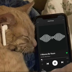 ok
