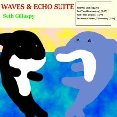 Waves & Echo Suite