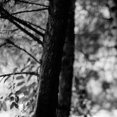 ‎⁨آخر وداعية | الرادود علي حمادي - ذكرى استشهاد السيدة فاطمة الزهراء (ع) 1443هـ2021م⁩.m4a