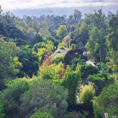 solar drift and confidence + inner power