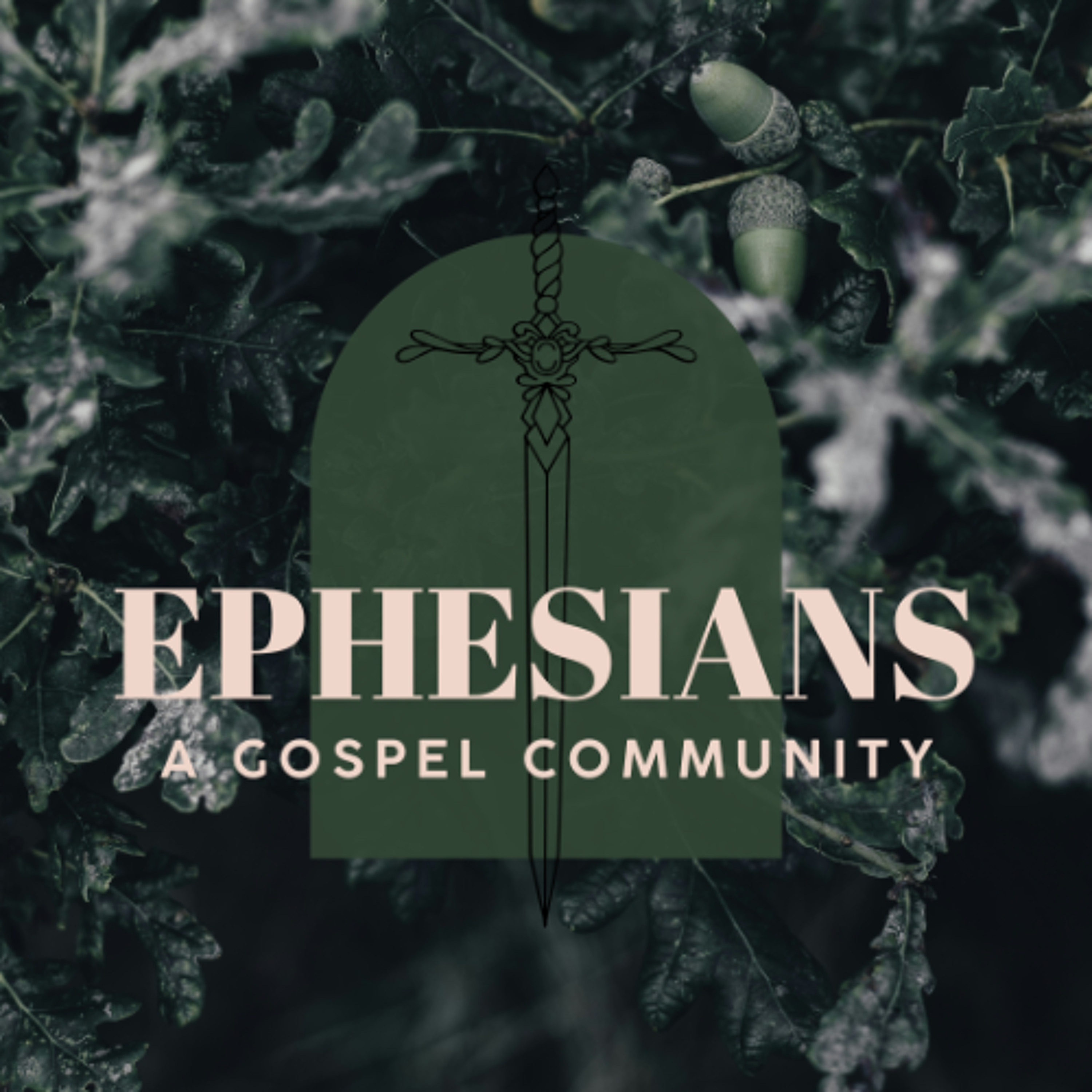 Ephesians Ch6v10-24