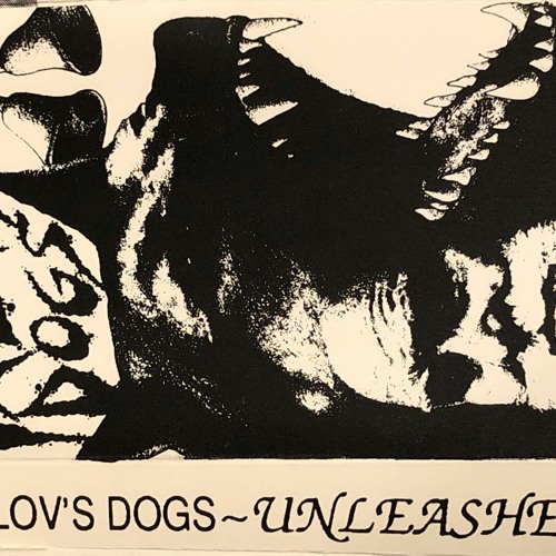 07 Live Your Life (remaster)