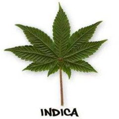 before getting high (freestyle)