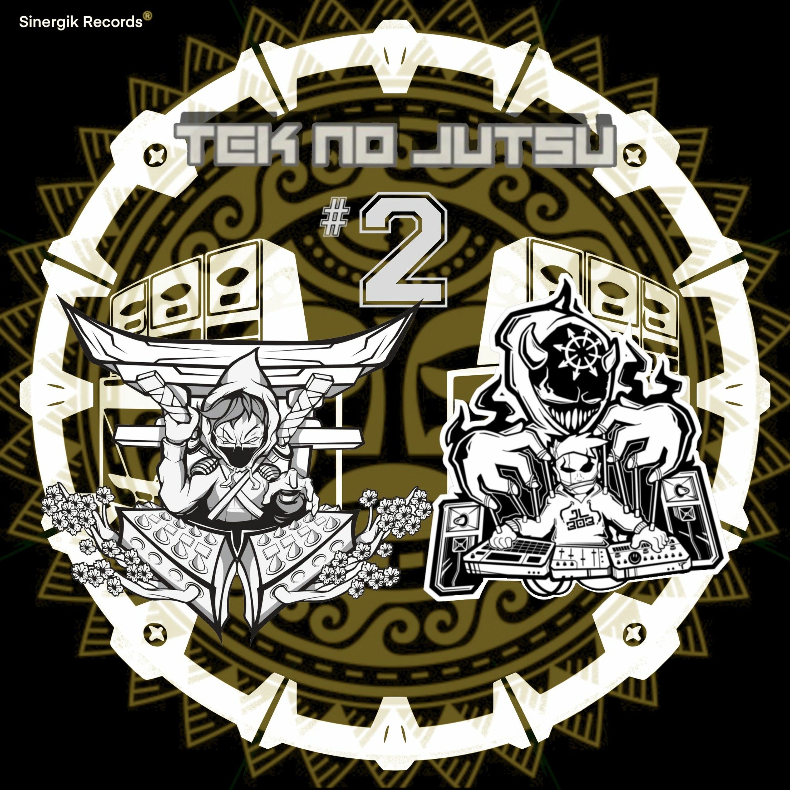 SINERGIK RECORDS ²³