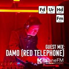 Feed Your Head Guest Mix: Damo (Red Telephone)