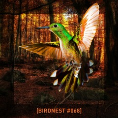 BIRDNEST #068 | The Autumn Inside | Podcast by The Lahar