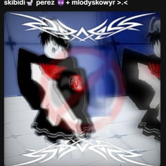 skibidi🚽 perez 😈