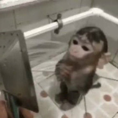 final. / w blessgeek, yarche