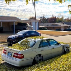 SSR VIENNA DASH! (The last track of the year)