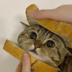 we dont talk about bruno ✨