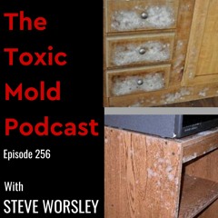 EP 256: Toxic Mold and Your Belongings, What Can You Keep?