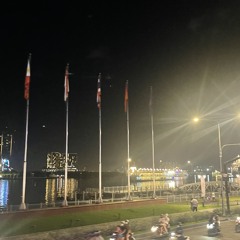thỏ 1