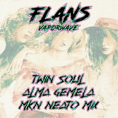 Flans Vaporwave - Twin Soul - Alma Gemela - MKN Neato Mix
