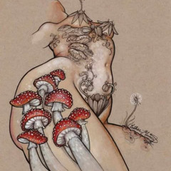 he's on the shrooms
