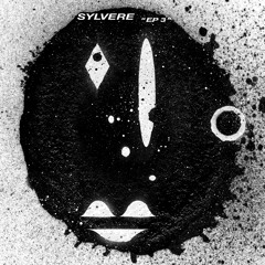 PREMIERE : Sylvere - Work My Body