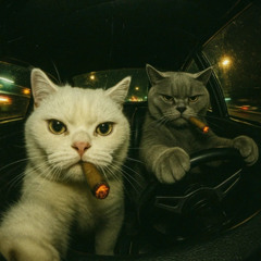 Stay True.(w /  Bryson J Scott ).