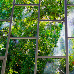 Power - Moritz Michelson