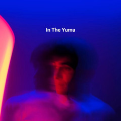 In The Yuma - Arlo Flip