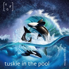 DJ TUSK - tuskie in the pool - Escapades003