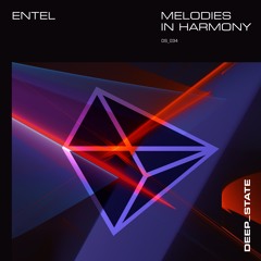 DS034 Entel - Melodies In Harmony Album Mix