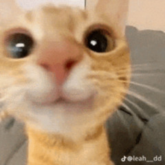 funk do shut up i dont know what to type so