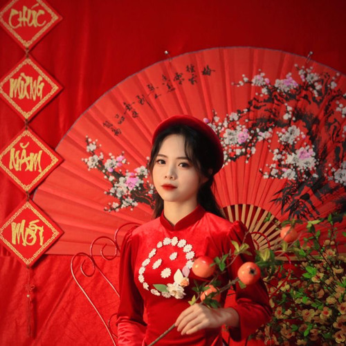 Làm Tí Nhạc Tết Không Chú Em - Ho Viet Loi Remix