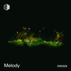 DIM308 - Melody