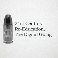 21st Century Re-Education, The Digital Gulag