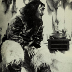 Tutto Vibra Nella Foresta