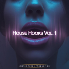 Mister Pluck Productions - House Hooks Vol.1