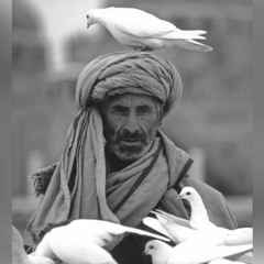 هو الذي أنزل السكينة في قلوب المؤمنين - د. أحمد عبد المنعم