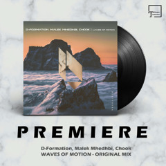 PREMIERE: D-Formation, Malek Mhedhbi, Chook - Waves Of Motion (Original Mix) [BEATFREAK RECORDINGS]