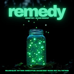 William Black, Roy Knox, Darren Styles, Callum Higby, Riot, KTN - Remedy (UNDEFYND + ELUSID Mashup)