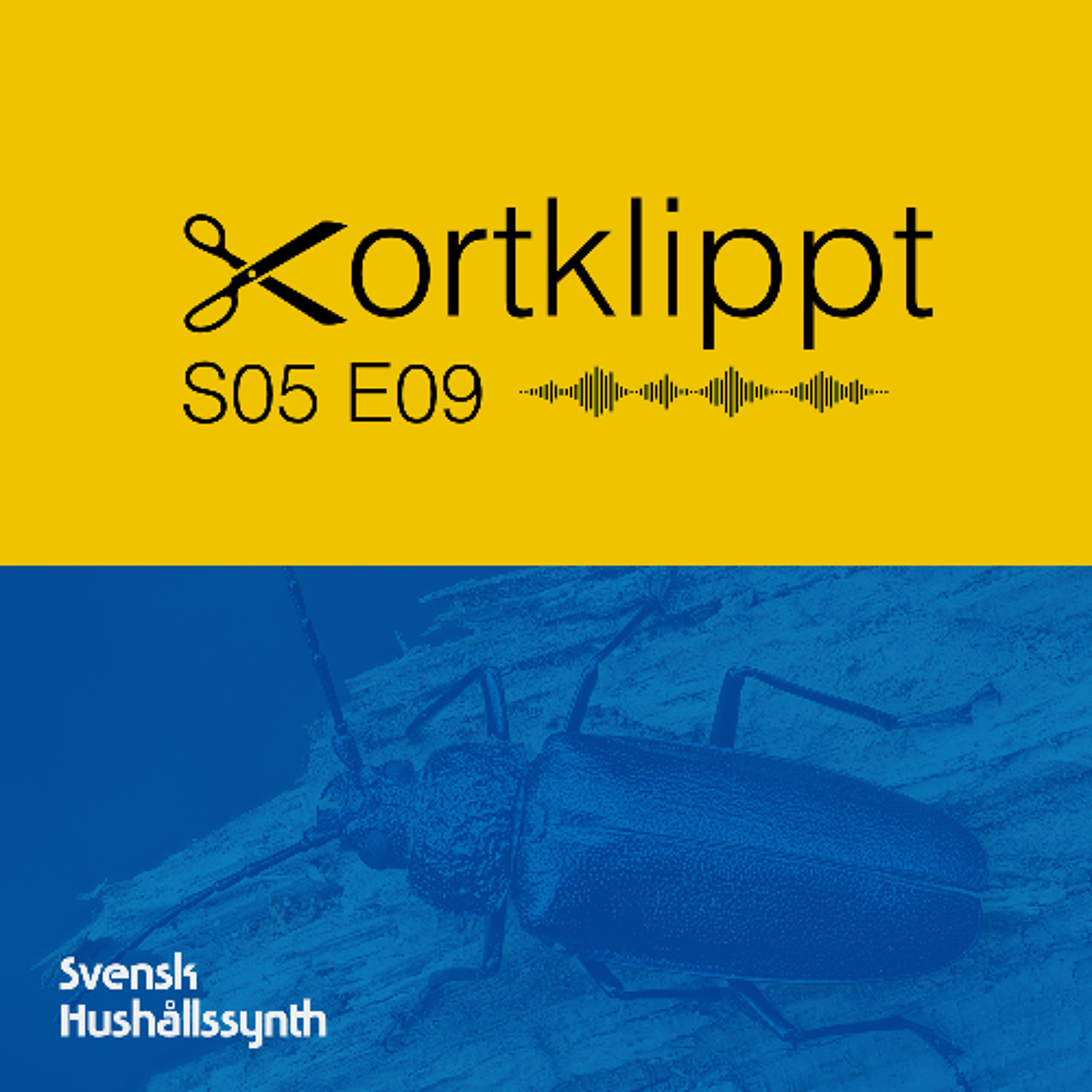 SHSKortklippt #98 Esoteriska synthar och syntetiska Klavertramp episode artwork