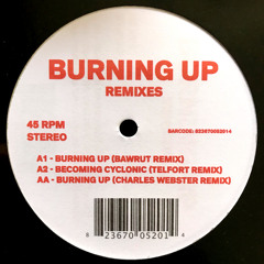 Burning Up (Bawrut Remix)