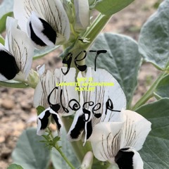 Get Closer - May 2021