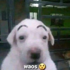 Ok...🗿
