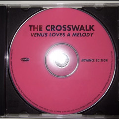 The Crosswalk - Before the Day Breaks