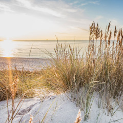 little things- one direction (piano cover)