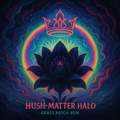 Hush-Matter Halo