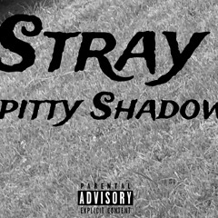 Stray (Prod.2souls)