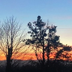 From The Outside ( Rough Mix )