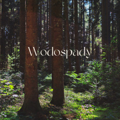 Wodospady [Cover]